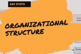 post-org-structure-sap-mm