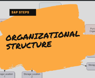 post-org-structure-sap-mm