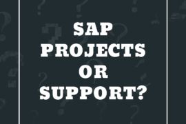 SAP Projects or Support