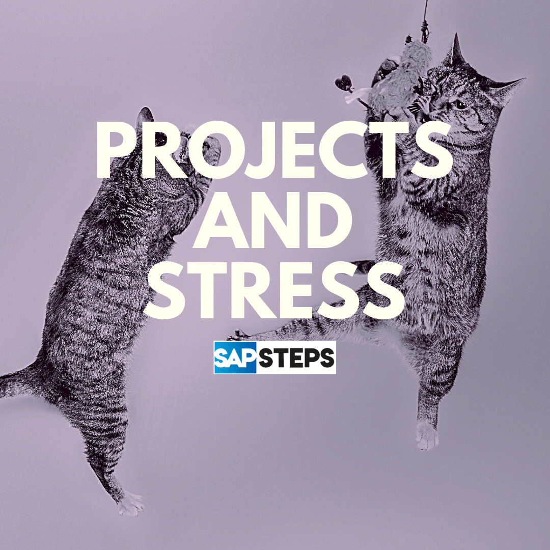 Projects and Stress